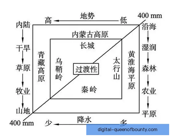 世界杯出线形势影响因素全景解析与关键变量深度探讨战术实力赛程环境